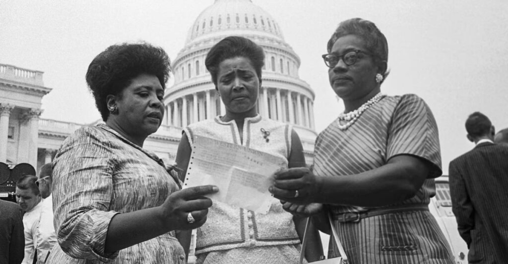 Democracy Is a Racial Entitlement Now