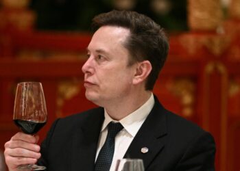 What is Suicidal Empathy, a New Philosophy Promoted by Elon Musk and Bill Ackman?