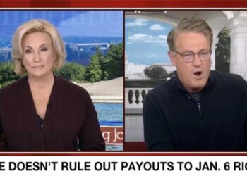 Morning Joe’s epic meltdown over Trump giving millions to ‘cop killers’ leads to apology