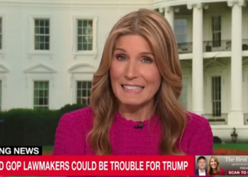 Nicolle Wallace spots big problem with Trump’s revenge tour that could haunt the GOP