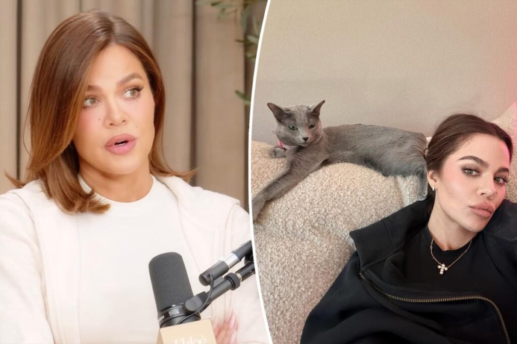 Khloé Kardashian confesses her cats underwent widely-banned surgery: ‘I was really misadvised’