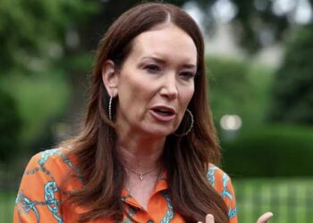 Trump official pitched ‘a fit’ at the White House and derailed executive order: insiders