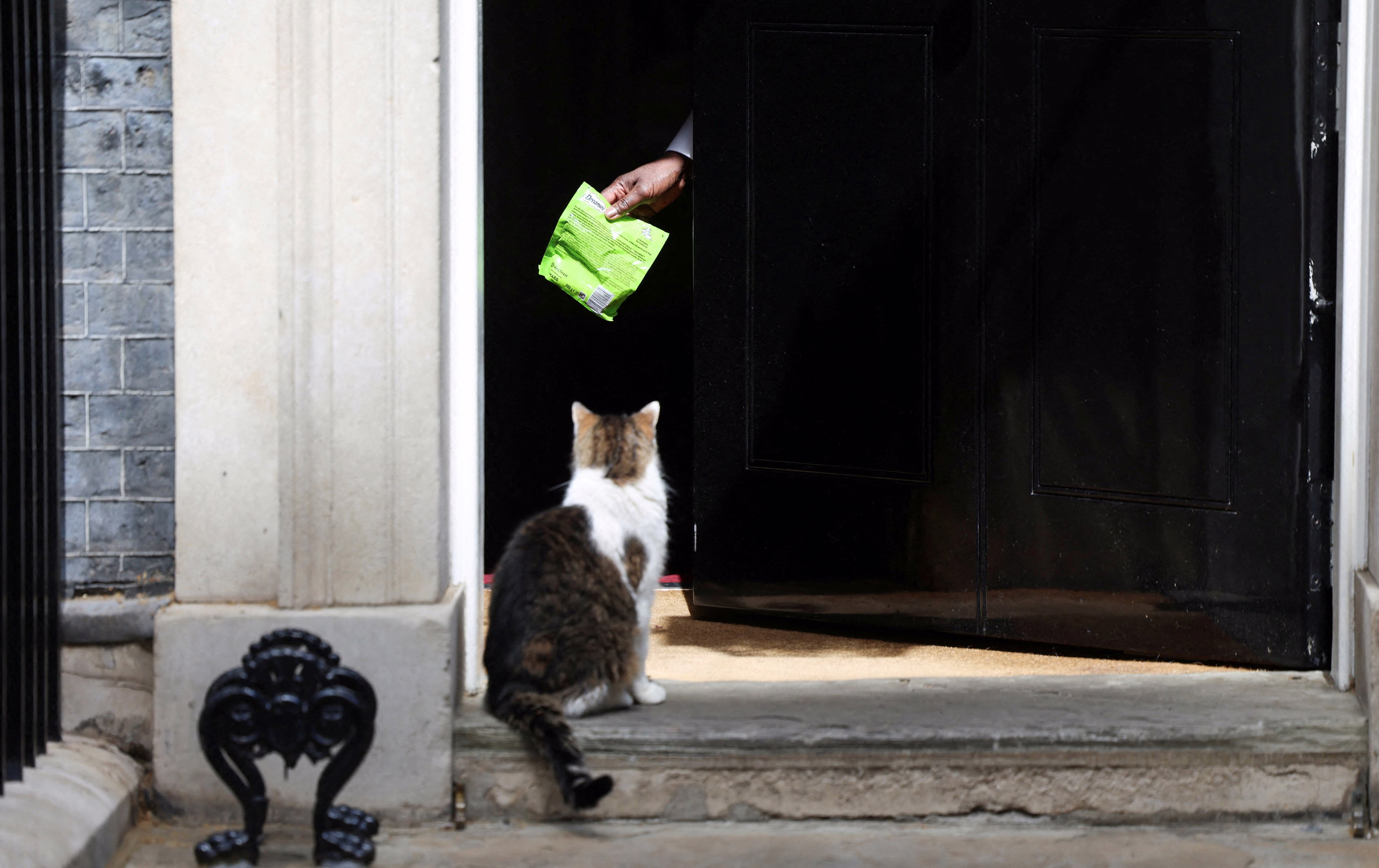 A cat sits in a doorway, enticed by a hand holding up a bag of treats just inside the door.