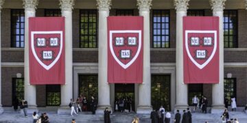 Is a college degree is still worth it? Here are 3 things it can teach you that AI can’t do