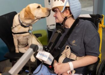 Meet the hospital dogs ‘making a real difference’ by getting sick kids to smile