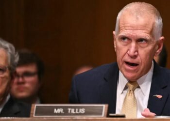 Rebellious Republicans find voice in Trump apostate Thom Tillis: ‘stupid on stilts’ and a ‘payout for punks’