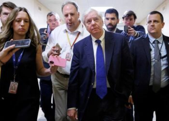 Lindsey Graham turns heads with perplexing remark as Trump weighs peace deal