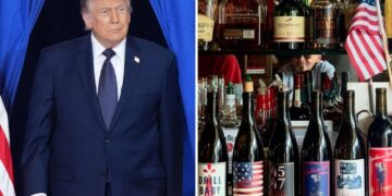 Trump stomps on MAGA-themed California winery in trademark spat