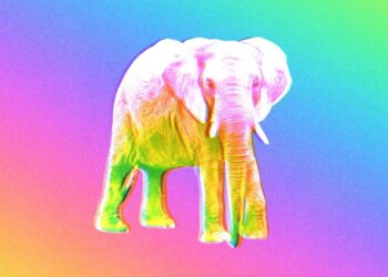 The Republican Psychedelics Whisperer