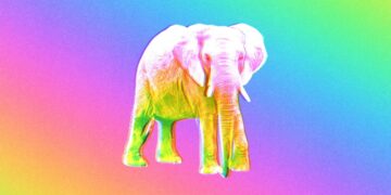 The Republican Psychedelics Whisperer