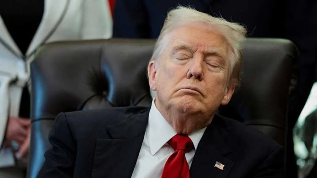 ‘Looks bored’: Onlookers crack up as Trump appears to be asleep at event for dead soldiers