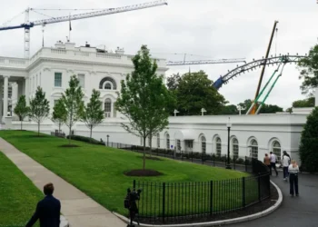 ‘Pray for rain’: Internet skewers White House UFC design