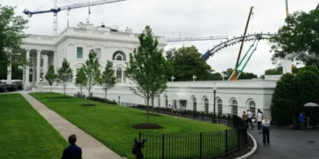‘Pray for rain’: Internet skewers White House UFC design