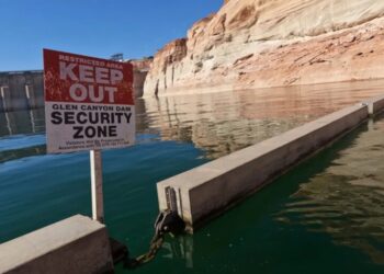 The river that supplies 40 million Americans is down to 23% — and about to make a $25 million bet on one fish