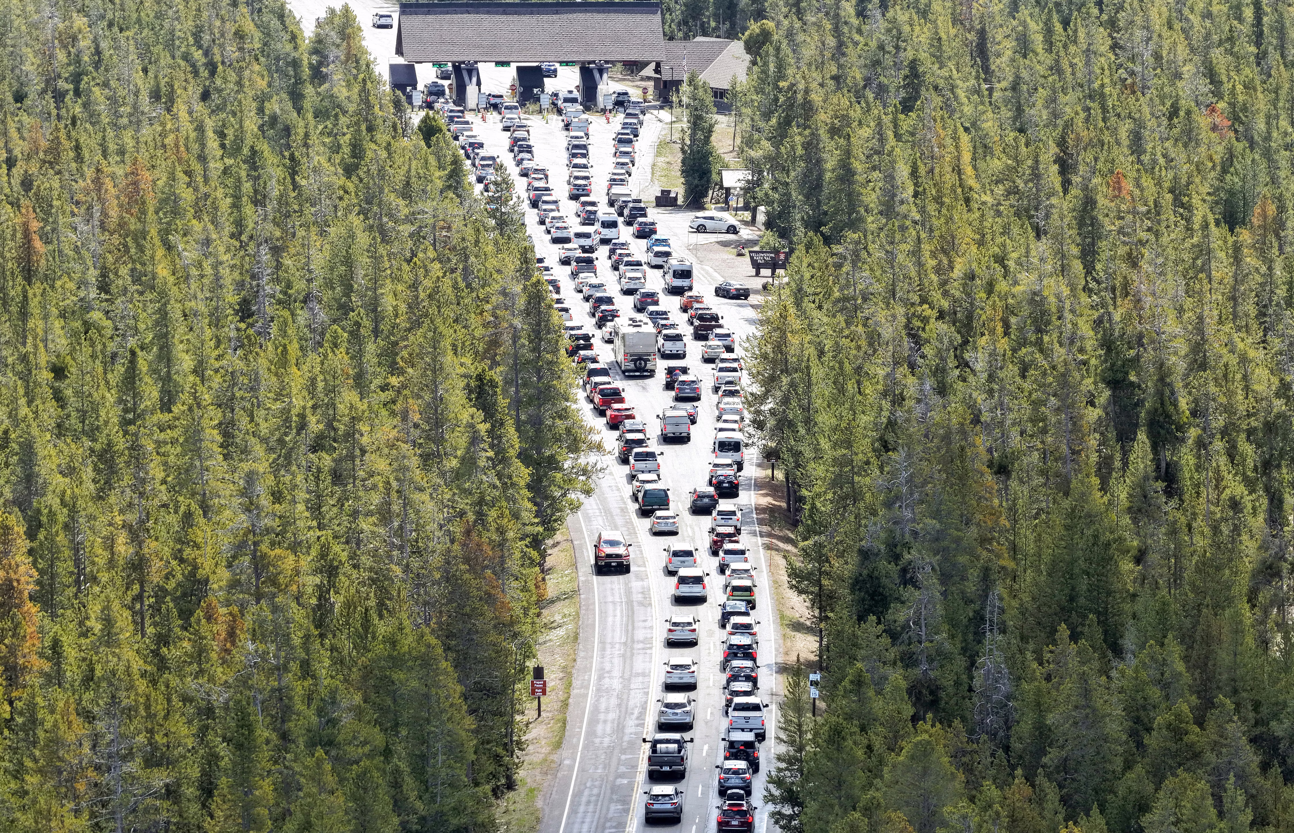 An aerial view of many cars lined up at a park entrance, surrounded by a pine forest