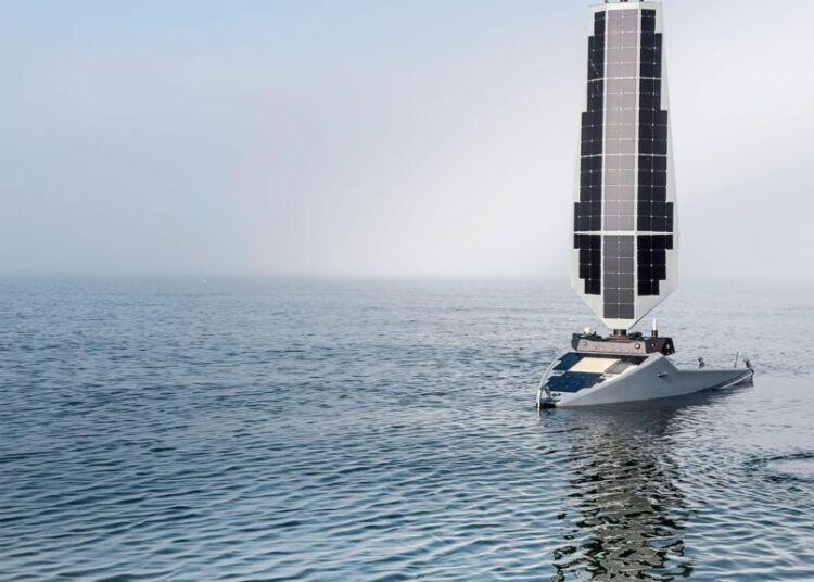 A New Wave of Investment Sees Profit in Ocean Conservation