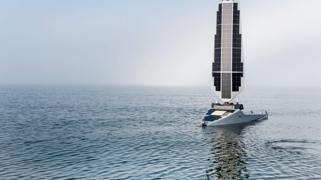 A New Wave of Investment Sees Profit in Ocean Conservation