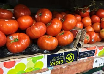 Tomatoes become the latest symbol of the affordability crisis as prices rose over 40% from last year