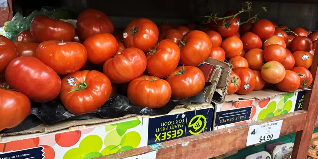 Tomatoes become the latest symbol of the affordability crisis as prices rose over 40% from last year