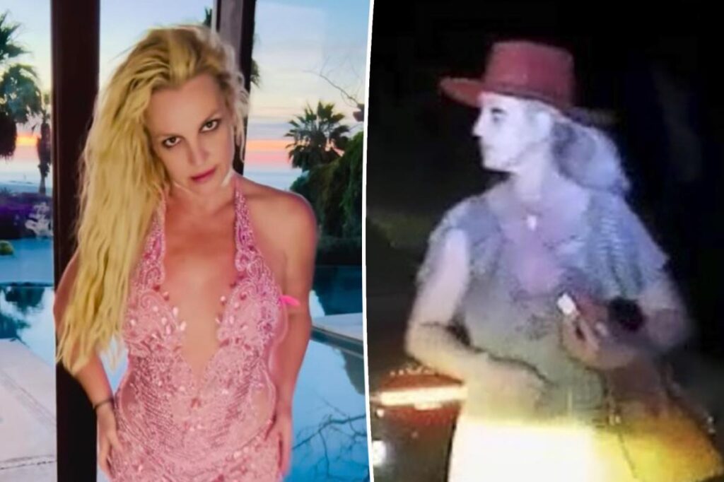 Britney Spears admits to battling ‘emotional issues’ amid ‘interesting year’ following DUI arrest, rehab stint