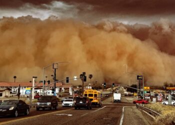 Apocalyptic “Fungal Storms” Are Now Surging Across the US