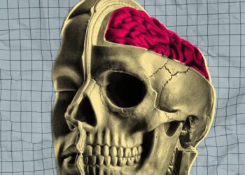 Startup Testing Drugs on Freshly Extracted Human Brains That Are Kept On Life Support