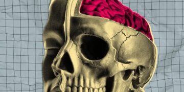 Startup Testing Drugs on Freshly Extracted Human Brains That Are Kept On Life Support