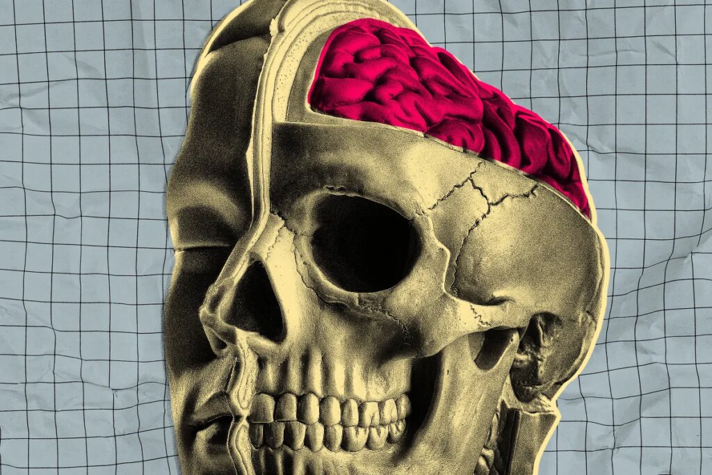 Startup Testing Drugs on Freshly Extracted Human Brains That Are Kept On Life Support