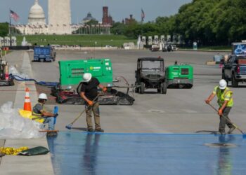 ‘Layer of green murk’ could plague Reflecting Pool due to Trump admin oversight: report