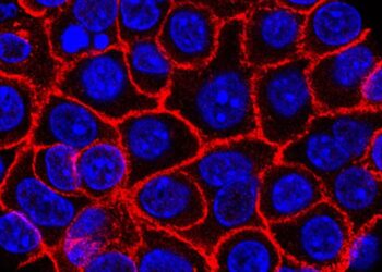 Experimental pill nearly doubles survival time for people with advanced pancreatic cancer. ‘I actually started crying’