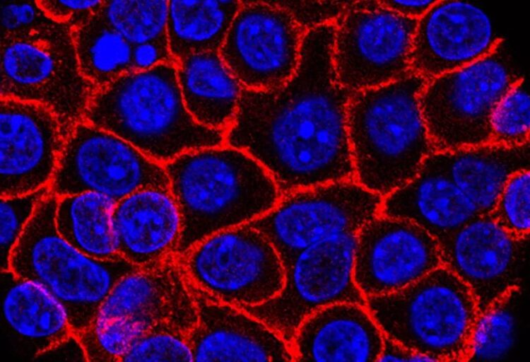 Experimental pill nearly doubles survival time for people with advanced pancreatic cancer. ‘I actually started crying’