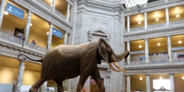 Trump pushed by longtime confidant to ‘fire everyone at the Smithsonian’