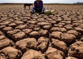 A rare ‘super’ El Niño is looking more likely. Here’s what to expect
