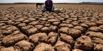 A rare ‘super’ El Niño is looking more likely. Here’s what to expect