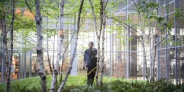 A Newspaper’s Birches Bend and Occasionally Break