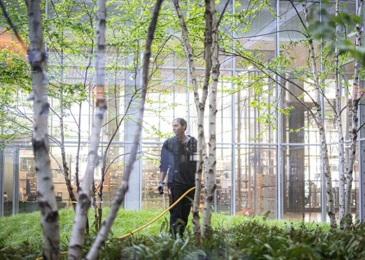 A Newspaper’s Birches Bend and Occasionally Break