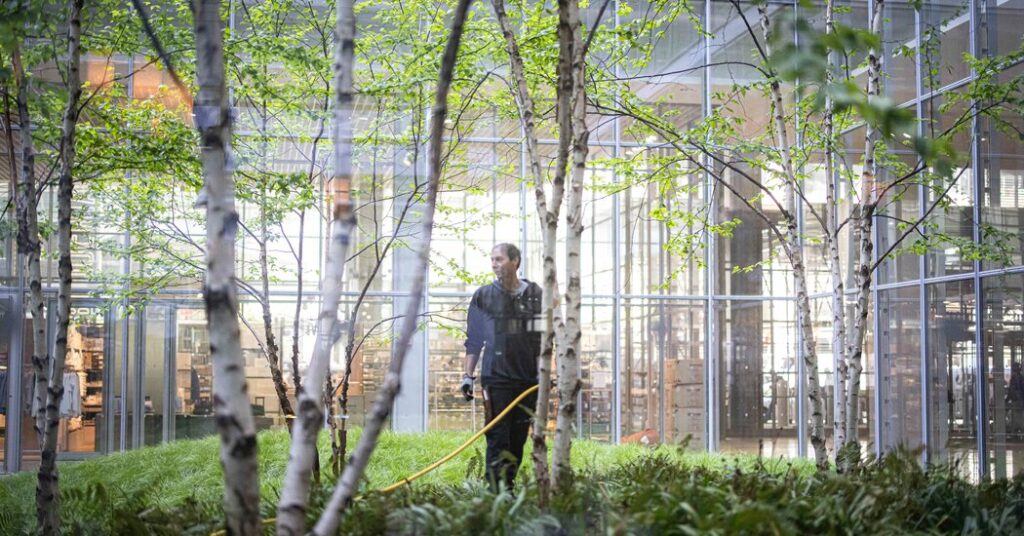 A Newspaper’s Birches Bend and Occasionally Break