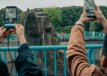 Two Americans Detained in Japan After Entering Punch the Monkey’s Enclosure