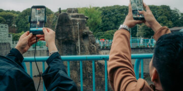 Two Americans Detained in Japan After Entering Punch the Monkey’s Enclosure