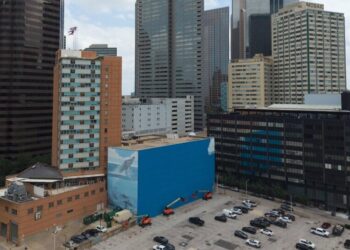 A Beloved Whale Mural in Dallas Is Painted Over Ahead of the World Cup