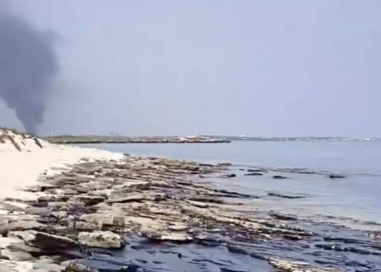 Oil Slick Reaches a Pristine Persian Gulf Island in Iran