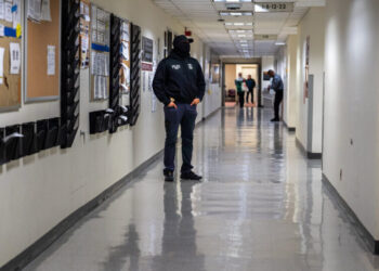 ICE Makes Courthouse Arrest Despite Judge’s Order
