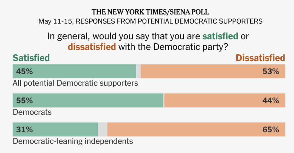 Democrats’ Midterm Strength Masks Fierce Divides and Frustration, Poll Shows