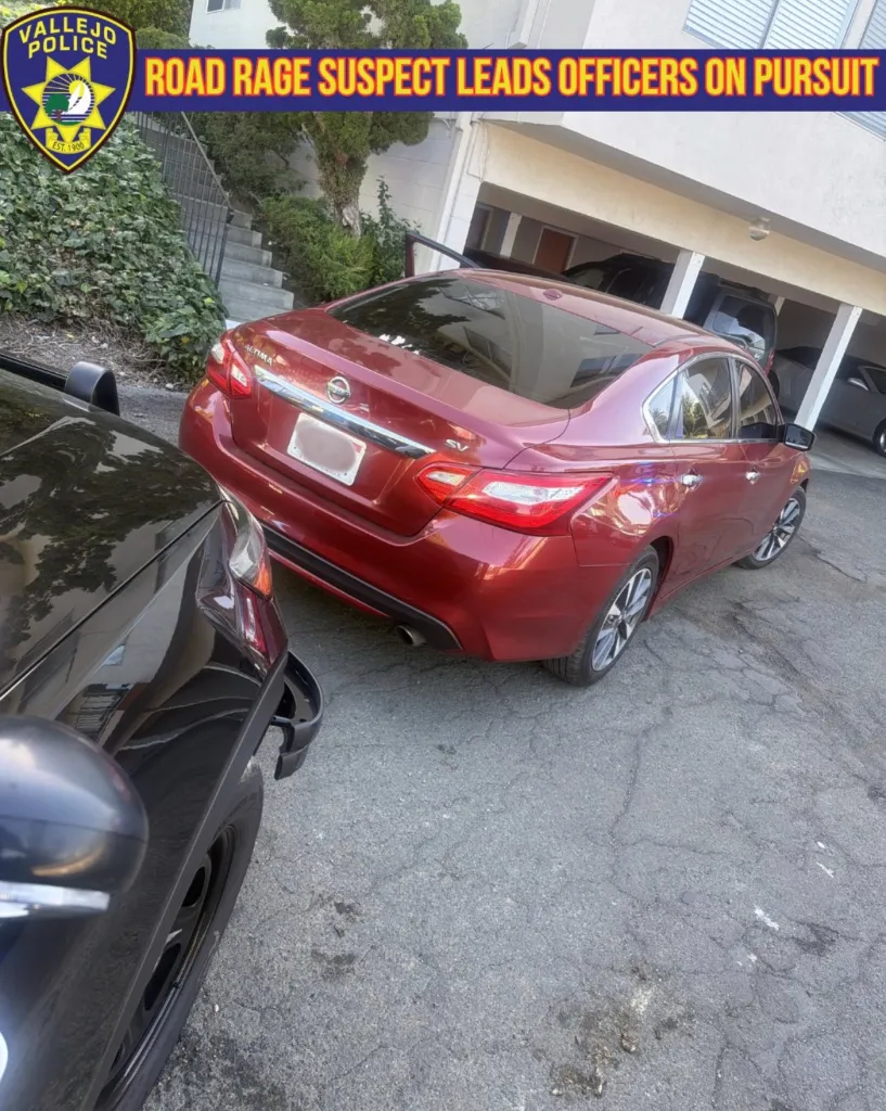 A red Nissan Altima with damage to its rear bumper and a black car, possibly a police vehicle, with a damaged front bumper, parked on a street with a building and overgrown bushes in the background.