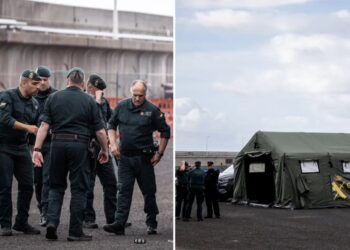 WHO to oversee evacuations from hantavirus-stricken cruise ship, issues message to Spanish island residents: ‘not another COVID’