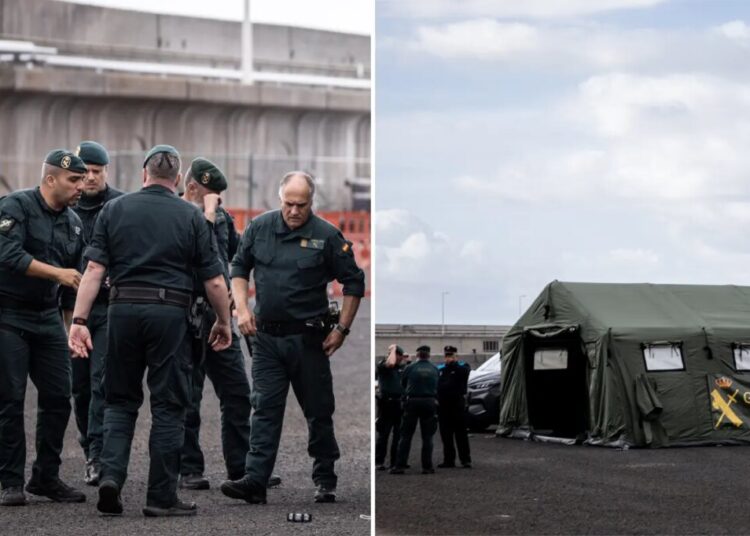 WHO to oversee evacuations from hantavirus-stricken cruise ship, issues message to Spanish island residents: ‘not another COVID’