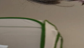 A Very Lonely Caterpillar, Possibly the Last Its Kind, Has Died