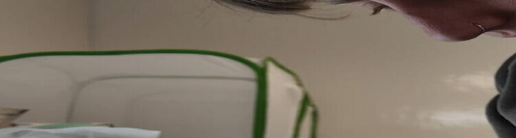A Very Lonely Caterpillar, Possibly the Last Its Kind, Has Died
