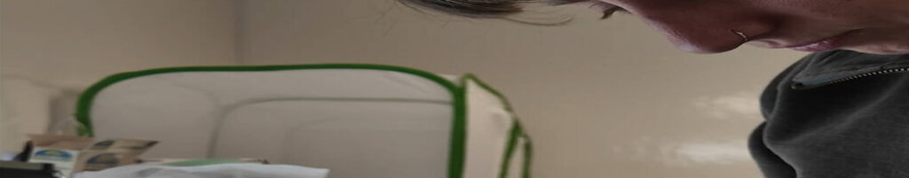 A Very Lonely Caterpillar, Possibly the Last Its Kind, Has Died