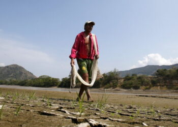 A Strong El Niño Could Be Coming. Countries Are Already Preparing.